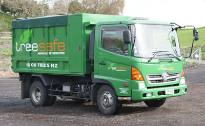Hino Tip Truck - Treesafe Limited