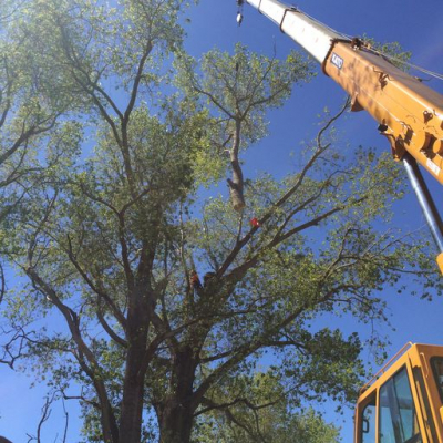 1kT1QVKA COMMERCIAL AND PRIVATE CLIENTS ? PROJECTS AND MAINTENANCE