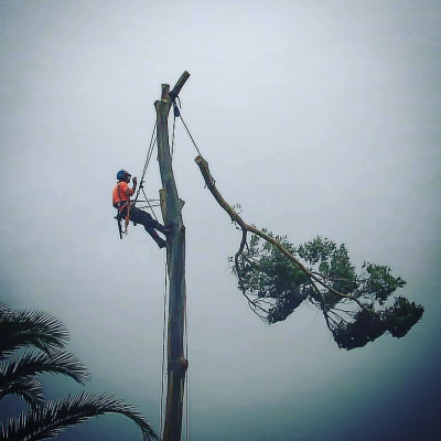 Commercial COMMERCIAL AND PRIVATE CLIENTS ? PROJECTS AND MAINTENANCE