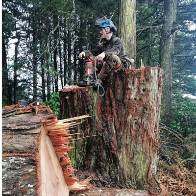 Commercial COMMERCIAL AND PRIVATE CLIENTS ? PROJECTS AND MAINTENANCE