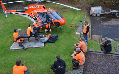 Auckland Council – Helicopter Pine Removal