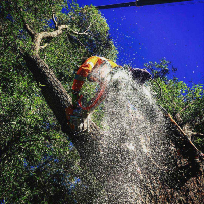 commercial COMMERCIAL AND PRIVATE CLIENTS ? PROJECTS AND MAINTENANCE