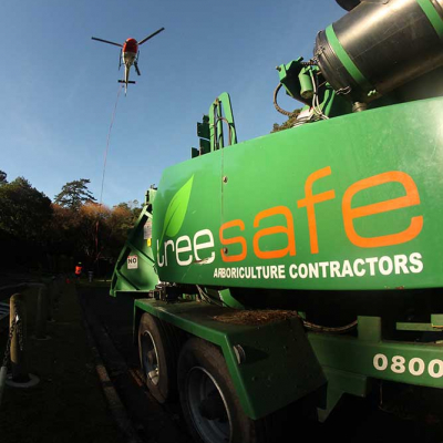 AUCKLAND COUNCIL ? HELICOPTER PINE REMOVAL