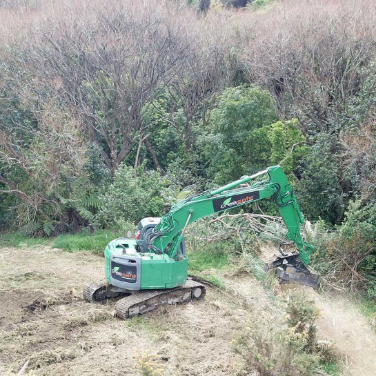 Land Clearing Land Clearing