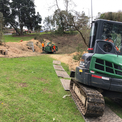 wildland WILDLANDS ? PEST TREES REMOVAL