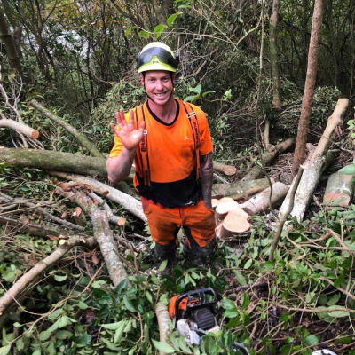 wildland WILDLANDS ? PEST TREES REMOVAL